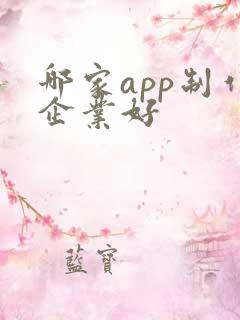 哪家app制作企业好