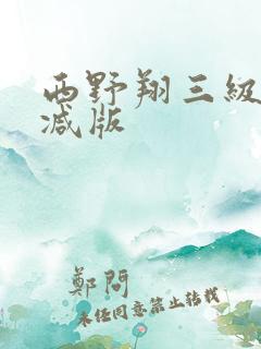 西野翔三级无删减版