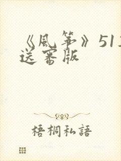 《风筝》51集送审版