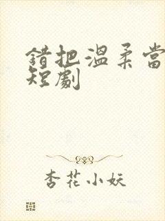 错把温柔当情深短剧