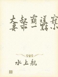 大叔霸道宠小甜妻乖一点小说免费阅读