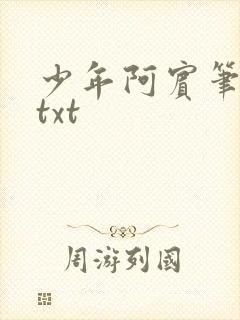 少年阿宾笔趣阁txt