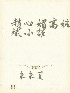 赵心媚高婉君陈斌小说