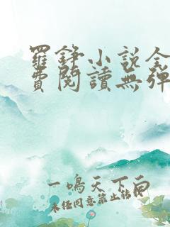 罗铮小说全文免费阅读无弹窗