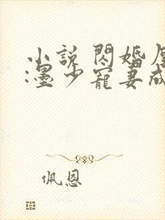 小说 闪婚厚爱:墨少宠妻成瘾