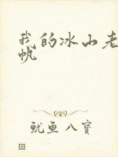 我的冰山老婆叶帆