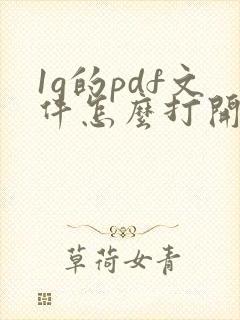 1g的pdf文件怎么打开