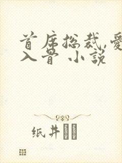 首席总裁,爱你入骨 小说