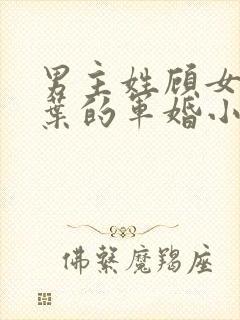 男主姓顾女主姓叶的军婚小说