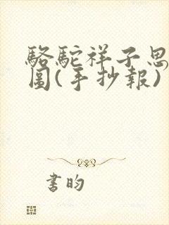 骆驼祥子思维导图(手抄报)