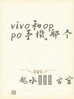 vivo和oppo手机哪个电池续航比较好