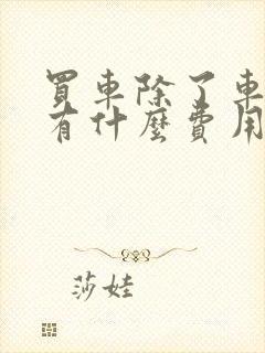 买车除了车款还有什么费用