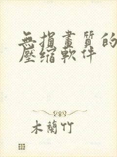 无损画质的视频压缩软件