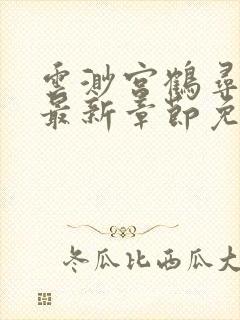 云渺宫鹤寻小说最新章节免费阅读无弹窗