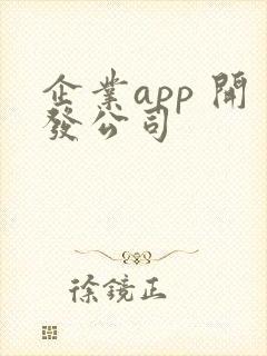 企业app 开发公司