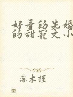 好看的先婚后爱的甜宠文小说