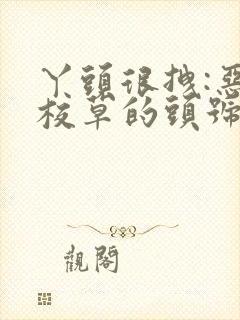 丫头很拽:恶魔校草的头号独宠