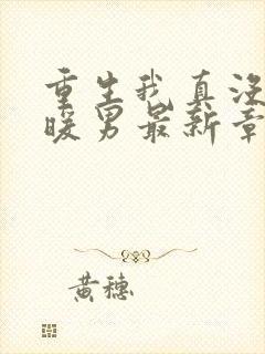 重生我真没想当暖男最新章节