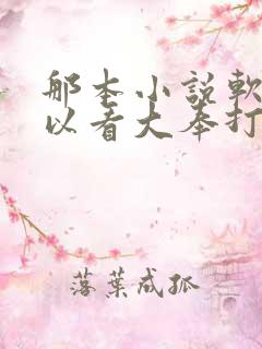 那本小说软件可以看大奉打更人