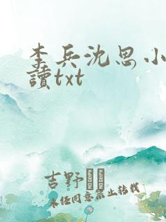 李兵沈思小说阅读txt