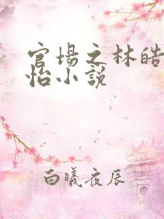 官场之林皓李静怡小说