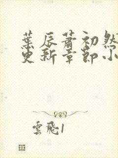 叶辰萧初然最新更新章节小说下载