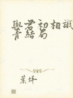 与君初相识林昊青结局