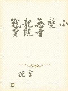 战龙无双小说免费观看