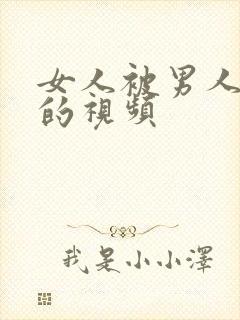 女人被男人操爽的视频