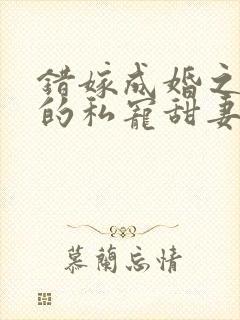 错嫁成婚之总裁的私宠甜妻 小说