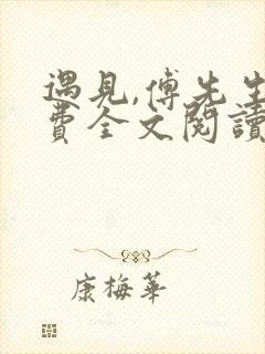 遇见,傅先生免费全文阅读