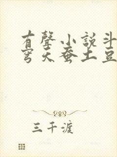 有声小说斗破苍穹天蚕土豆全集下载