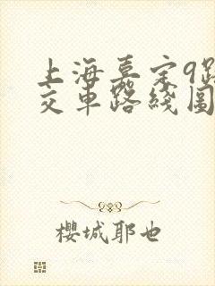 上海嘉定9路公交车路线图