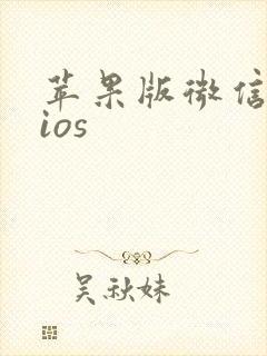 苹果版微信分身ios