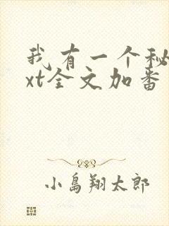 我有一个秘密txt全文加番外