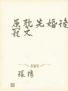原耽先婚后爱甜宠文