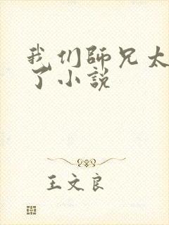 我们师兄太稳健了小说