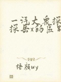 一汽大众探岳和探岳x的区别