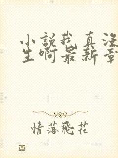 小说我真没想重生啊最新章节