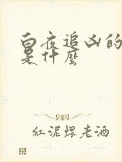 白夜追凶的结局是什么