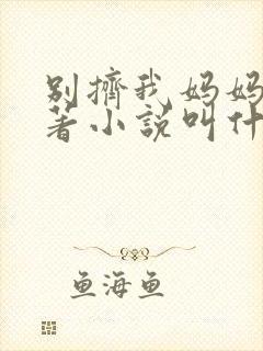 别挤我妈妈了原著小说叫什么名字