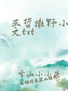 巫哲撒野小说原文txt