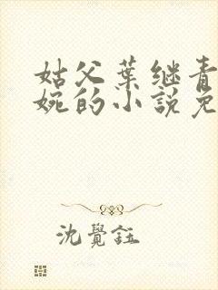 姑父叶继青和文婉的小说免费阅读