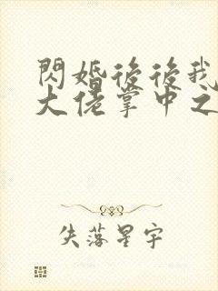 闪婚后后我成了大佬掌中之物