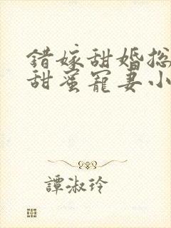 错嫁甜婚总裁的甜蜜宠妻小说