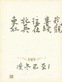 东北往事我叫赵红兵在线观看完整版免费的