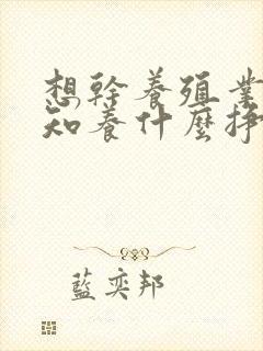 想干养殖业,不知养什么挣钱