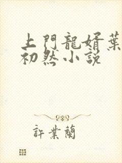 上门龙婿叶晨萧初然小说