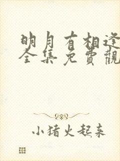 明月有相逢短剧全集免费观看