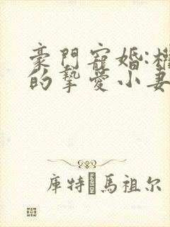 豪门宠婚:权爷的挚爱小妻